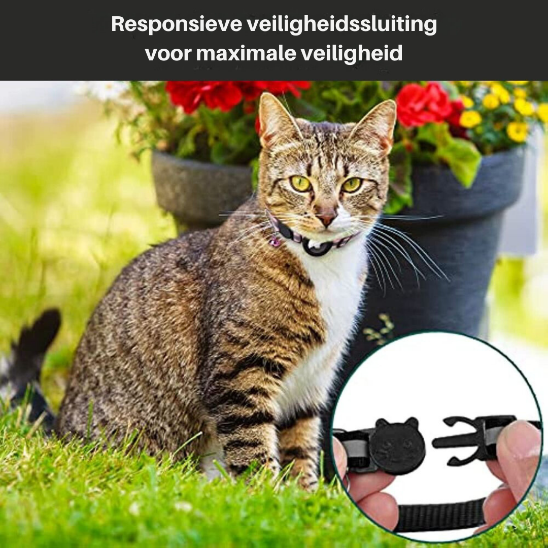 Cat GPS Tracker Collar with Quick Release Closure and Reflective Design for Enhanced Night Visibility 4