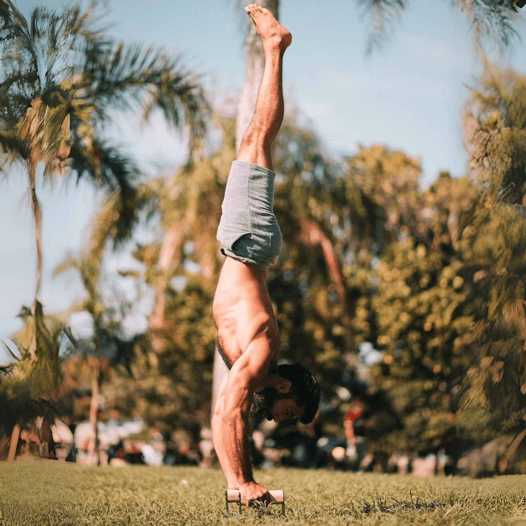 IronPush | Wooden Push-Up Parallels with Reinforced Steel Support Base 1