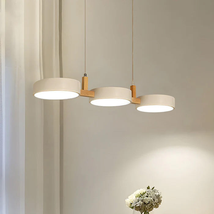 Ceiling Light Modern Metal Pendant Fixture 8